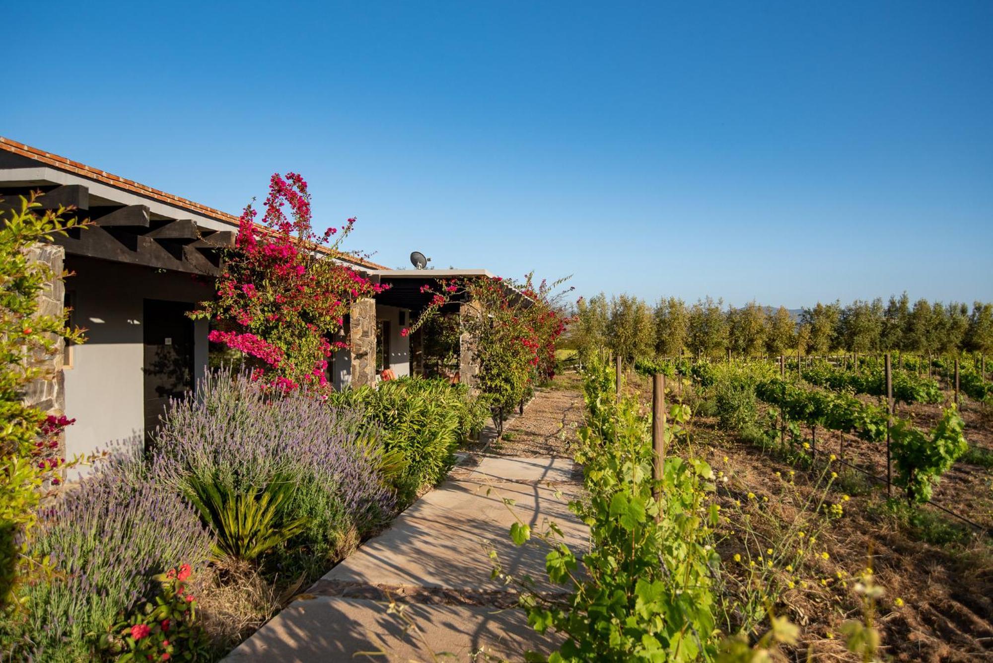 Atika Retreat Hotel Valle de Guadalupe Exterior photo