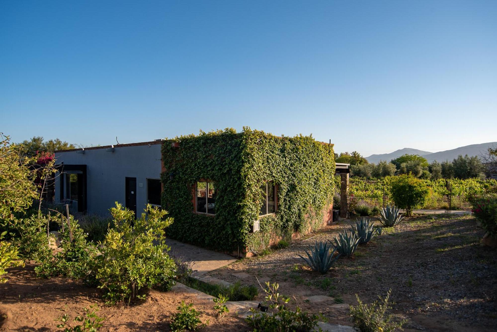 Atika Retreat Hotel Valle de Guadalupe Exterior photo